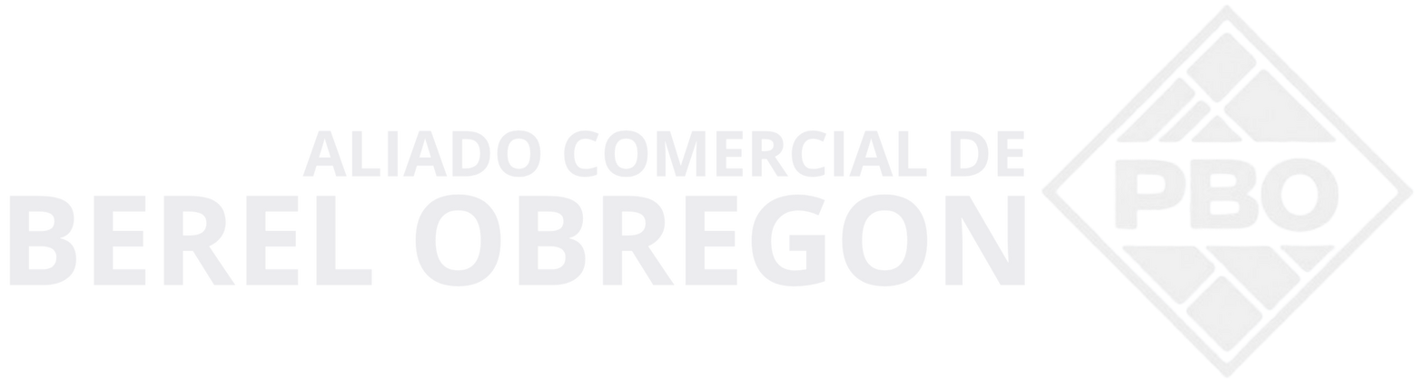 BEREL OBREGON